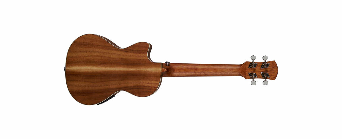 Juno Tenor Acacia