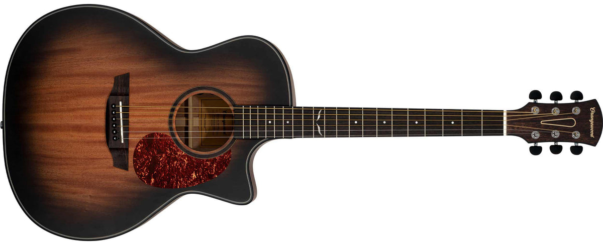 Morgan Mahogany Natural Burst Live