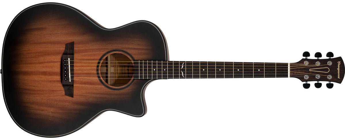 Morgan Mahogany Natural Burst Live